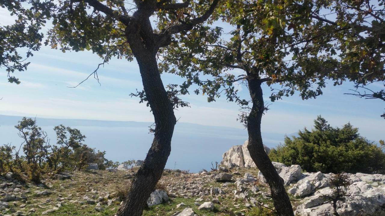 Apartment Diwa Brela Εξωτερικό φωτογραφία
